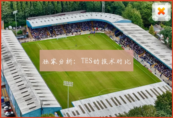独家分析：TES的技术对比