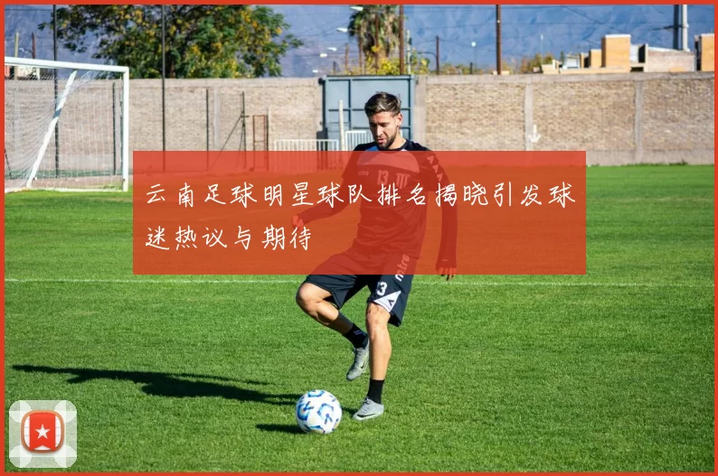 云南足球明星球队排名揭晓引发球迷热议与期待