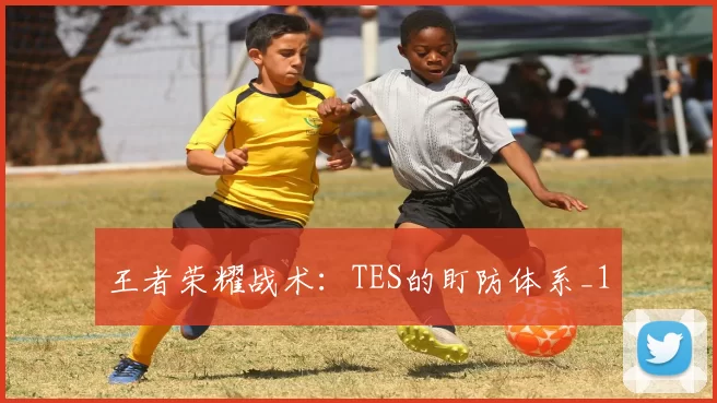 王者荣耀战术：TES的盯防体系_1