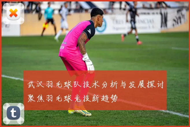 武汉羽毛球队技术分析与发展探讨聚焦羽毛球竞技新趋势
