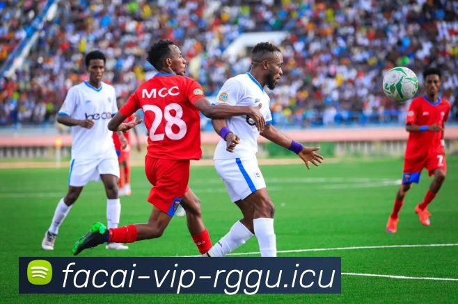 乐竞体育平台生态图